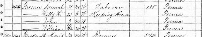 1870 Census Samuel and Hetty cropped