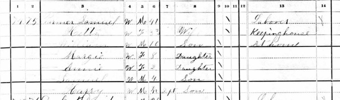 1880 Census Samuel and Hetty cropped