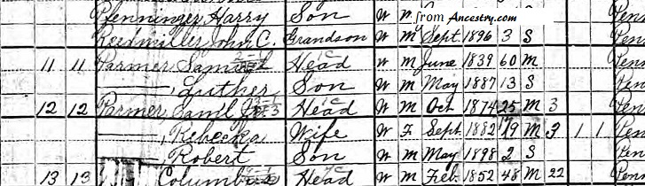 1900 Census Samuel Parmer