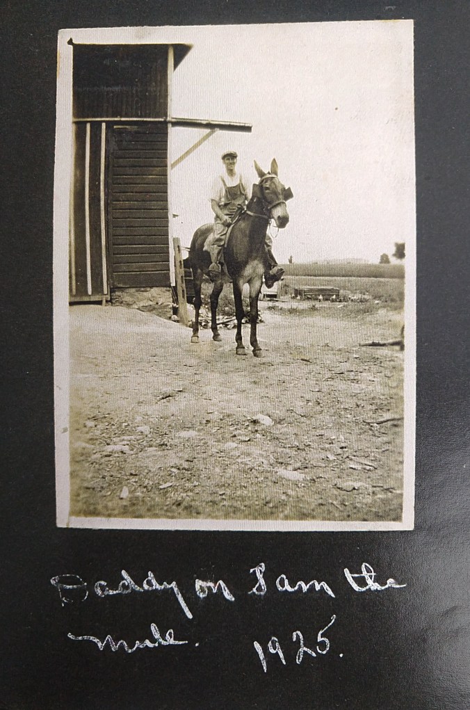 IMG_20200329_154340816