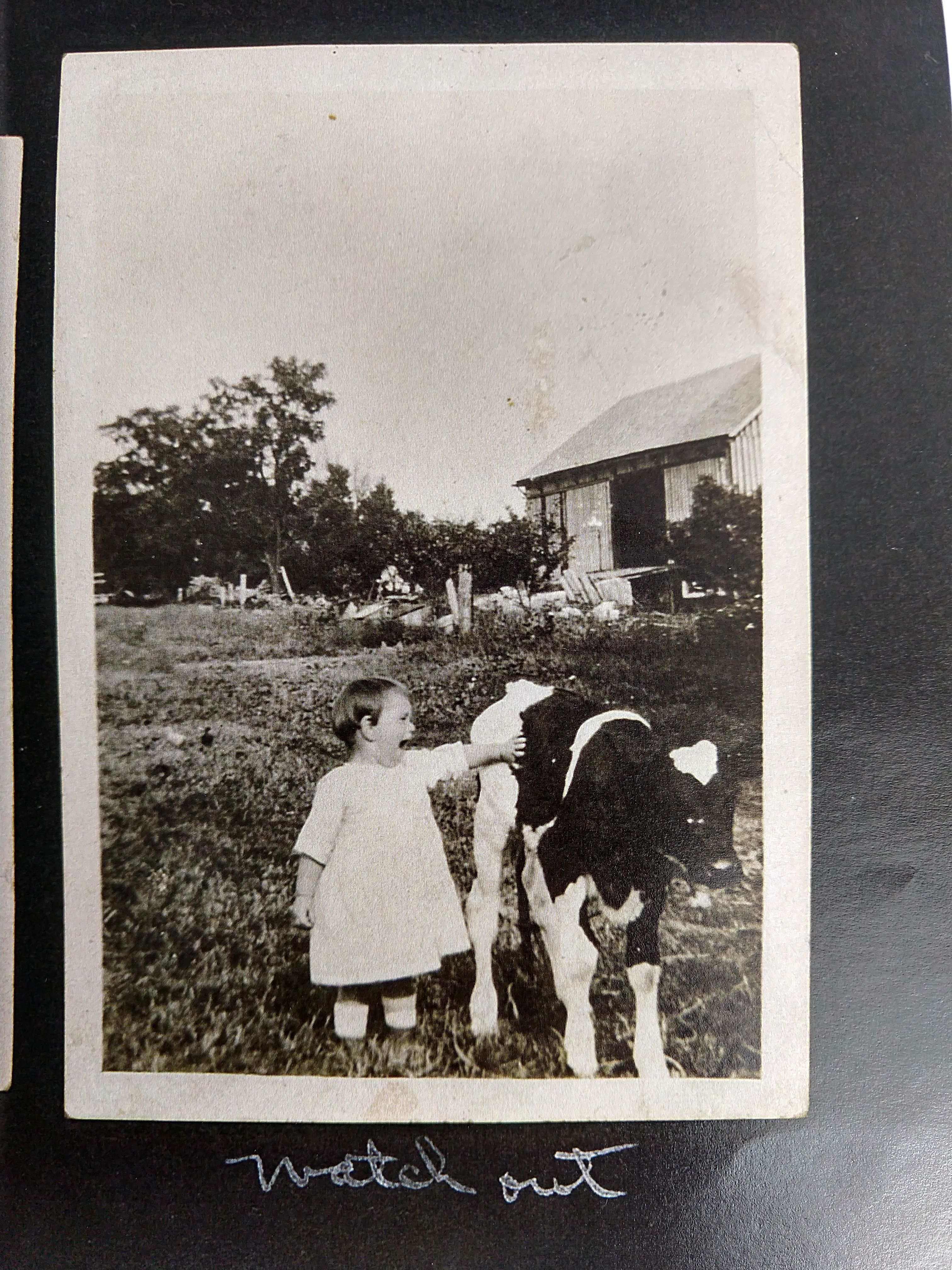 IMG_20200329_154357882_HDR